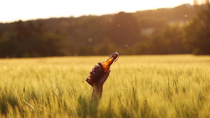 En hand sticker upp ur  ett kornfält, håller en en mörk ölflaska av glas med en porslinskapsyl.